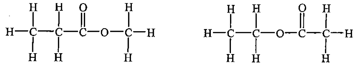 選項D：分子Y（左）和分子Z（右）的結構式