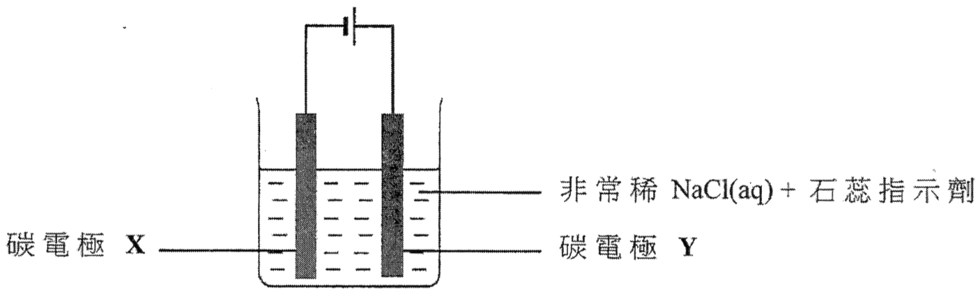 電解裝置:燒杯內盛非常稀 NaCl(aq) + 石蕊指示劑,兩支碳電極 X(左)和 Y(右)接駁至電池