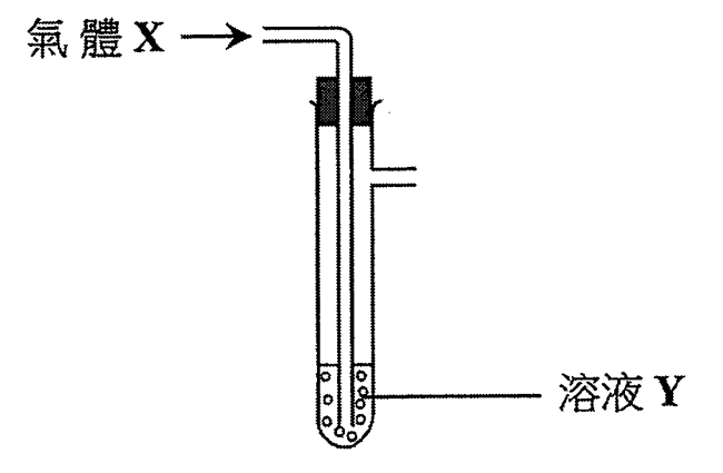 氣體 X 經導管通入試管內的溶液 Y