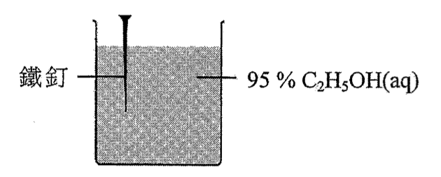鐵釘浸於燒杯內的 95 % C₂H₅OH(aq)