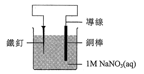 鐵釘和銅棒浸於 1M NaNO₃(aq),兩者以導線直接連接