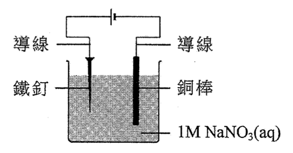 鐵釘和銅棒浸於 1M NaNO₃(aq),兩者以導線經電池連接