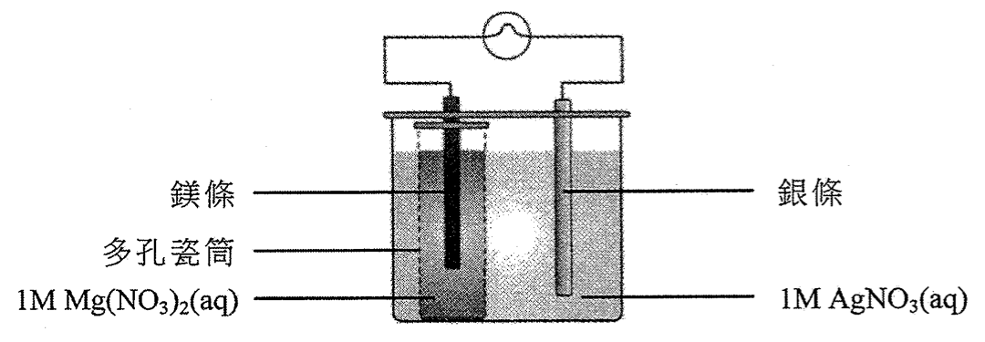 裝置:鎂條置於多孔瓷筒內的 1M Mg(NO₃)₂(aq),銀條置於 1M AgNO₃(aq),兩者經導線連接燈泡