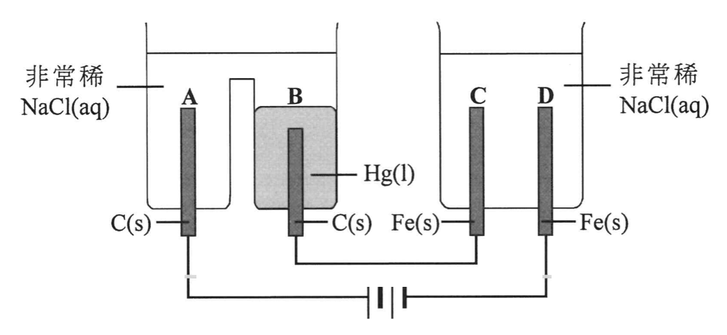 兩個電解池，內有非常稀 NaCl(aq)：左池有 C(s) 電極 A 和浸於 Hg(l) 的 C(s) 電極 B；右池有 Fe(s) 電極 C 和 D；與電池串聯