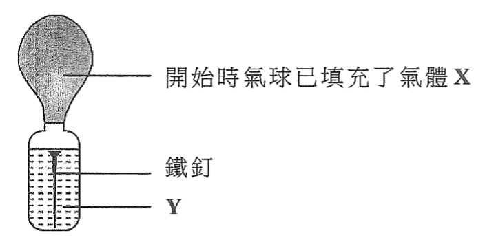 實驗裝置:瓶內有鐵釘及液體 Y,瓶口接上開始時已填充了氣體 X 的氣球