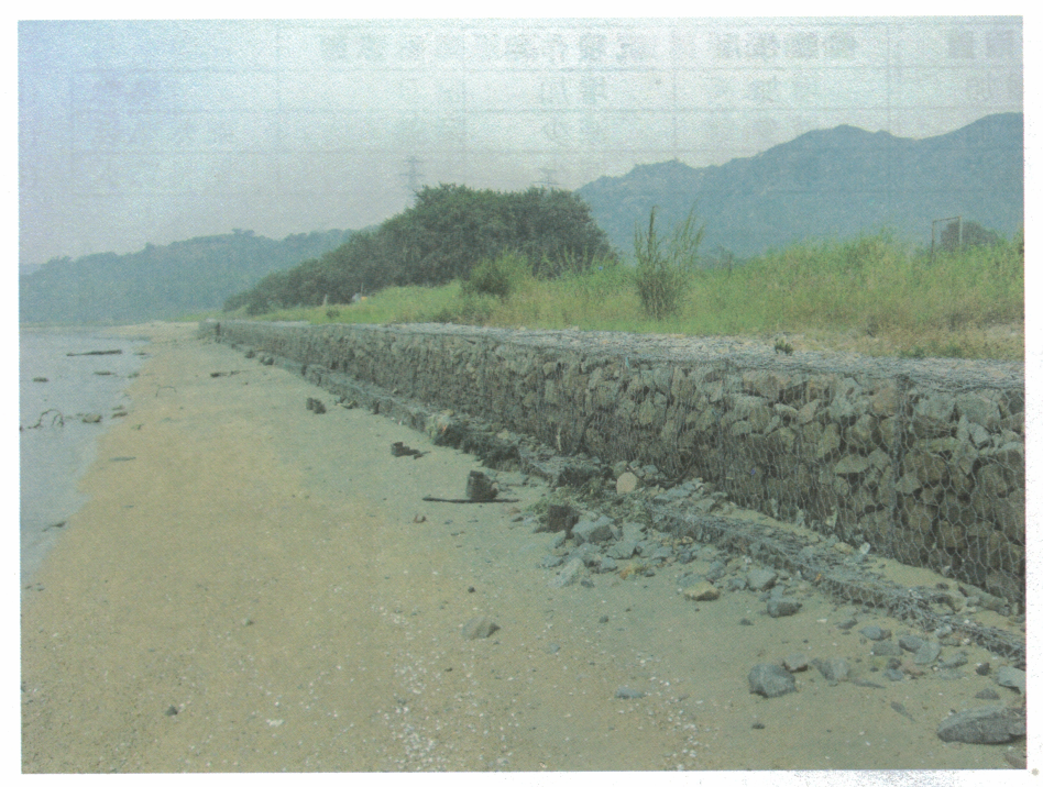 沿岸以鐵絲網石籠砌成的海堤照片