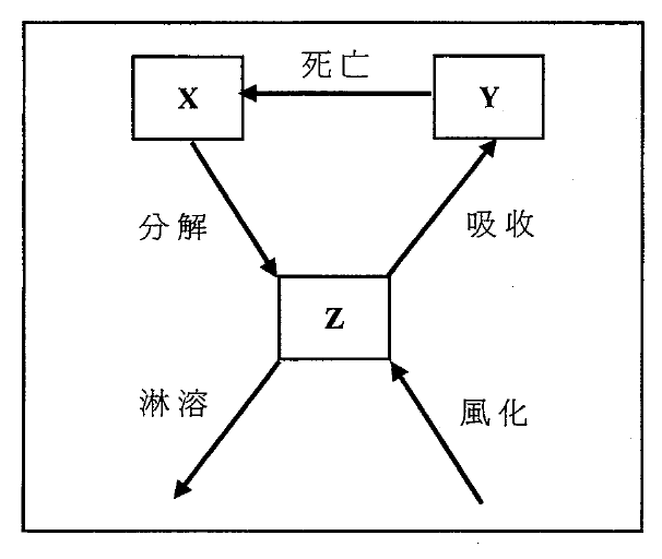 顯示X、Y、Z養分貯存庫及死亡、分解、吸收、淋溶、風化的養分循環圖