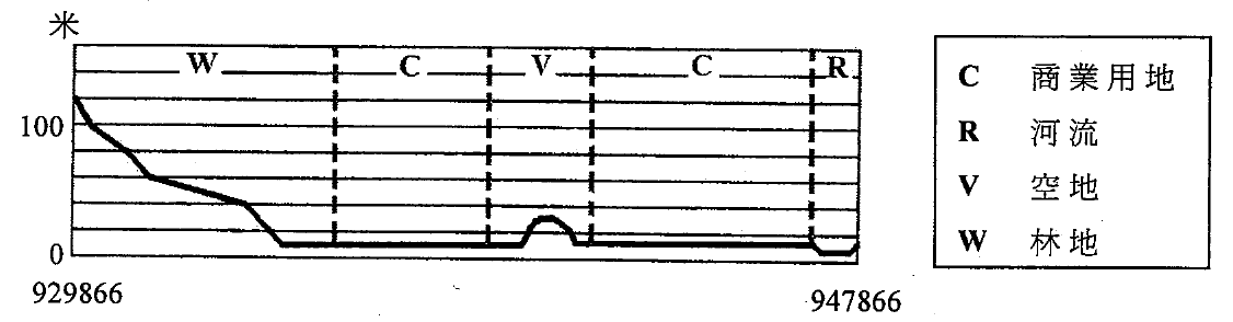 橫切面D