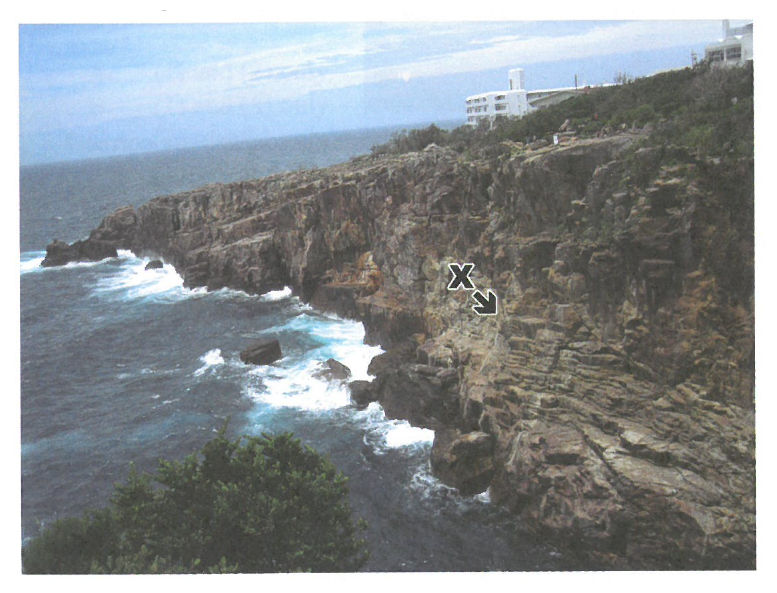 岩石海岸懸崖照片,海浪拍打崖腳;懸崖上標示形貌 X