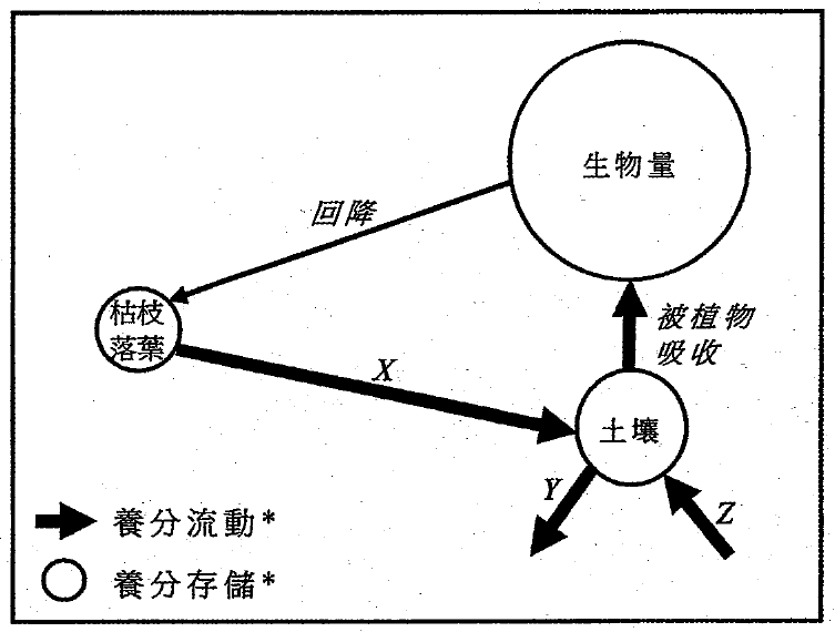 養分循環圖:生物量(大圓)、枯枝落葉(小圓)及土壤(小圓);回降箭號由生物量指向枯枝落葉,粗箭號 X 由枯枝落葉指向土壤,被植物吸收箭號由土壤指向生物量,箭號 Y 離開土壤,箭號 Z 進入土壤;圖例:箭號為養分流動,圓形為養分存儲
