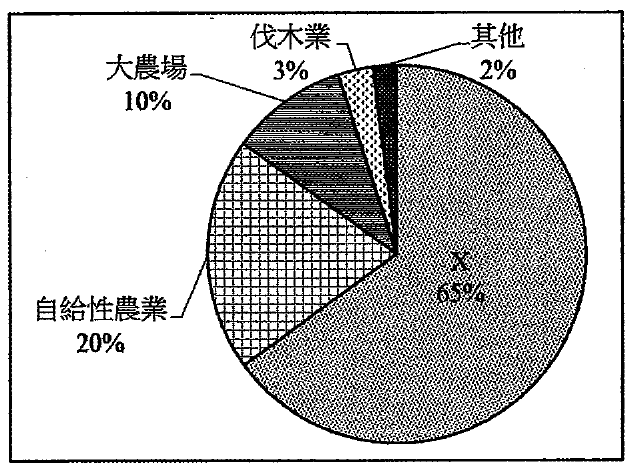 伐林圓形圖:X 65%、自給性農業 20%、大農場 10%、伐木業 3%、其他 2%