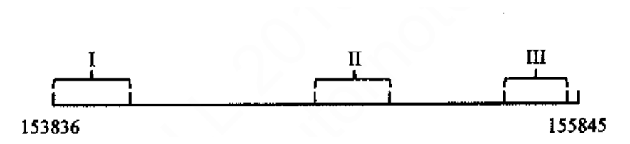 由 153836 至 155845 的樣條,標示 I、II 及 III 三段