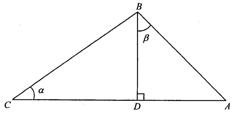 三角形 ABC,D 在 AC 上,BD 垂直於 AC;∠BCA = α,∠ABD = β。