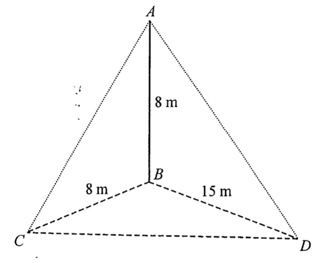 鉛垂柱 AB 高 8 m,立於水平地面三角形 BCD 上,BC = 8 m,BD = 15 m,B 處為直角;A 與 C、D 相連。