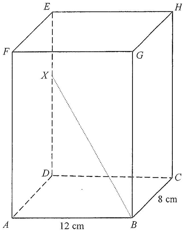 長方體 ABCDEFGH，底面為 ABCD，AB = 12 cm，BC = 8 cm；X 在稜 DE 上；連 BX