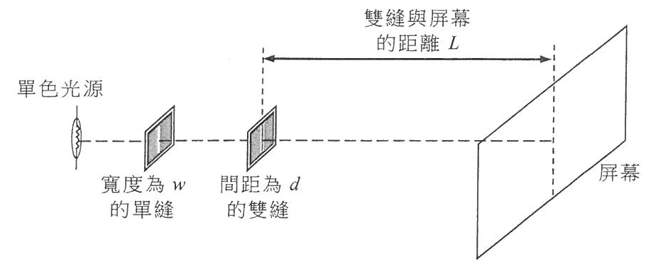 楊氏雙縫實驗裝置:單色光源、寬度為 w 的單縫、間距為 d 的雙縫,以及與雙縫相距 L 的屏幕