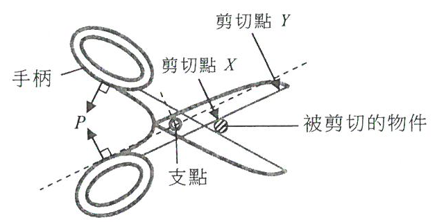 剪刀圖,標示手柄、支點、剪切點 X(較近支點)、剪切點 Y(近刀尖)及被剪切的物件(在 X);力 P 垂直施於手柄