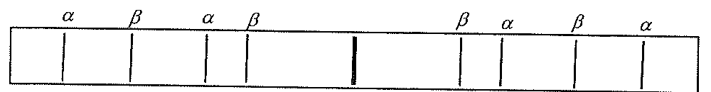 圖樣B:左邊依次為α、β,右邊依次為β、α(一級和二級均如此)